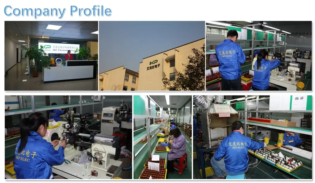 電子IKP-ELEC カートン RM4/5/6/7/8/9/10/12/13/14 中国 RM ISO9001-2000対応の高周波トランスフォーマー